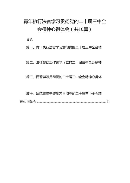 青年执行法官学习贯彻党的二十三中全会精神心得体会10篇（精选版）.docx