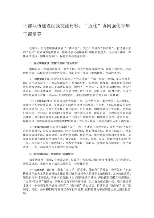 干部队伍建设经验交流材料：“五化”协同强化青年干部培养.docx