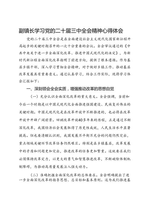 副镇长学习党的二十三中全会精神心得体会.docx