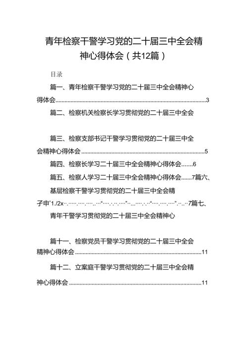 青年检察干警学习党的二十三中全会精神心得体会12篇（精选）.docx