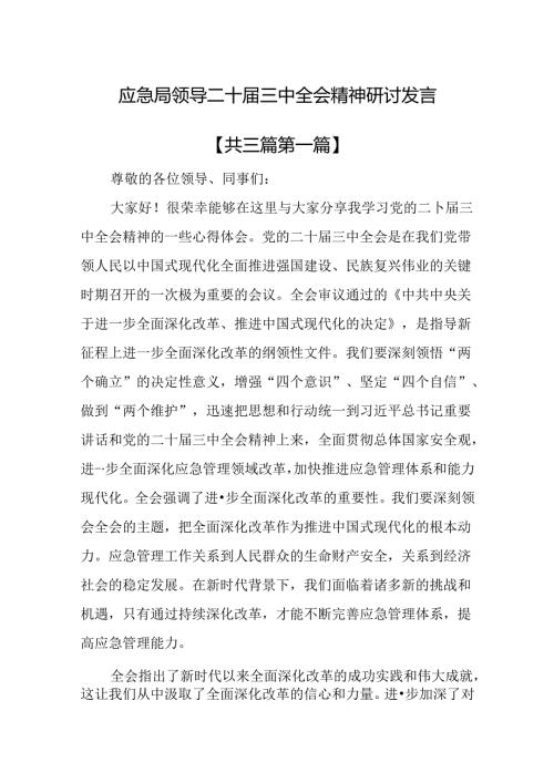 （3篇）应急局领导二十三中全会精神研讨发言.docx