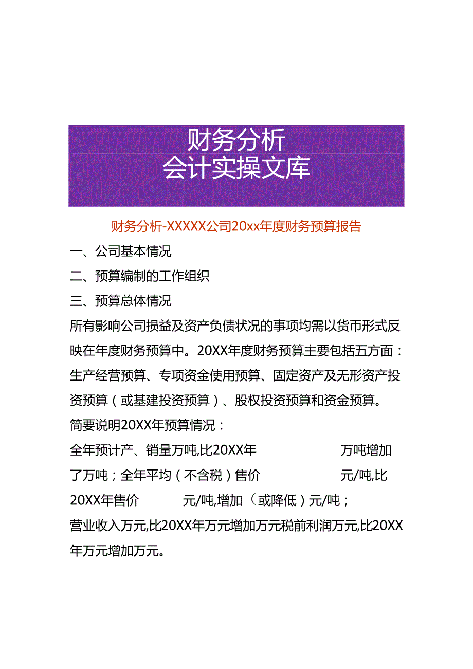 财务分析公司财务预算报告模板.docx_第1页