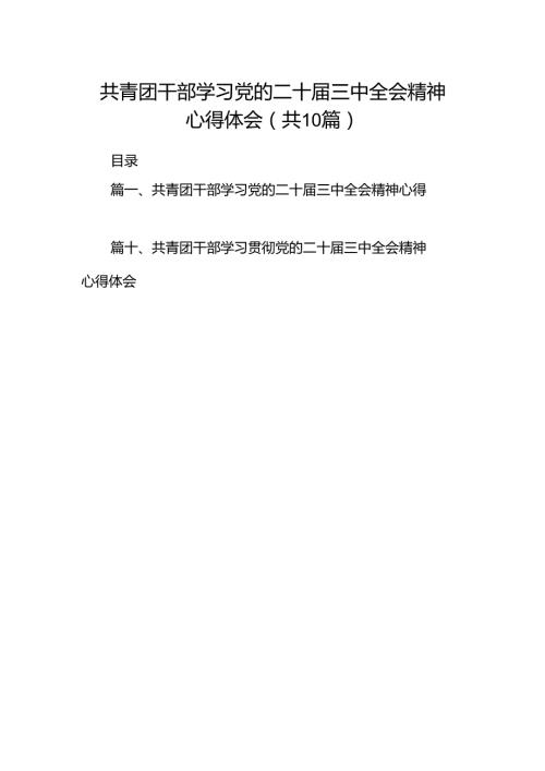 共青团干部学习党的二十三中全会精神心得体会（共10篇）.docx