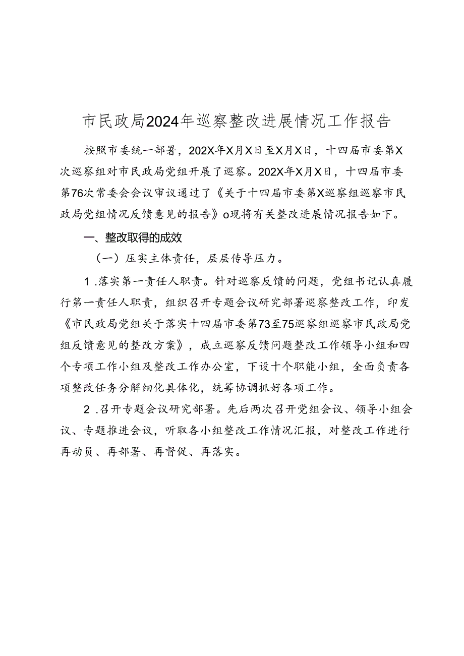 市民政局2024年巡察整改进展情况工作报告(1).docx_第1页