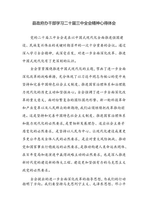 县政府办干部学习二十三中全会精神研讨发言心得体会.docx