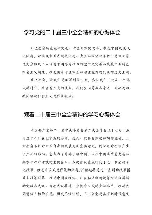 学习党的二十三中全会精神的心得体会优秀发言四十四篇.docx