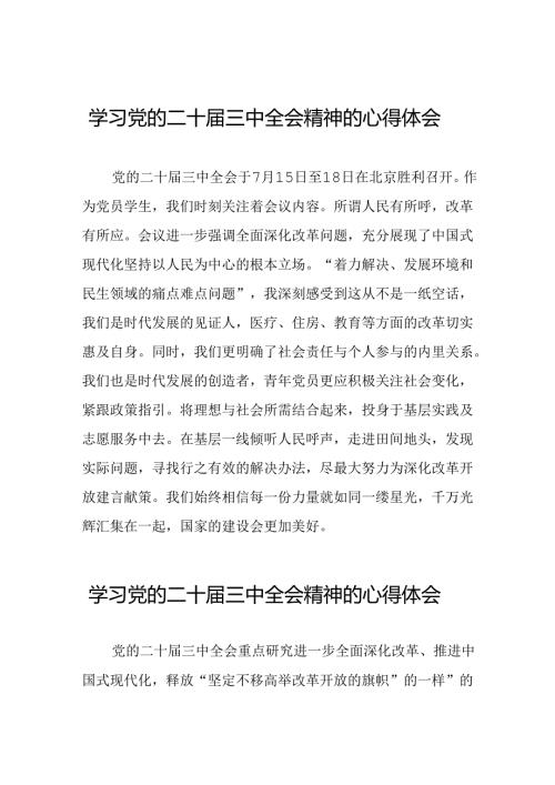 党员干部学习贯彻党的二十三中全会精神心得体会四十四篇.docx