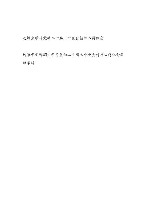 选调生学习党的二十三中全会精神研讨发言心得体会.docx