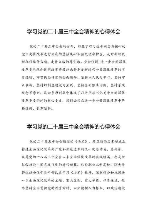 学习二十三中全会精神的心得体会简要发言三十六篇.docx
