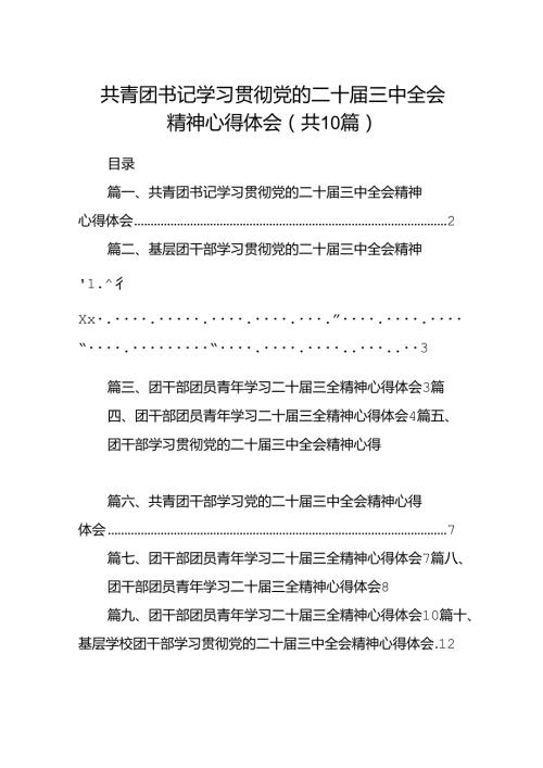 共青团书记学习贯彻党的二十三中全会精神心得体会十篇（精选）.docx