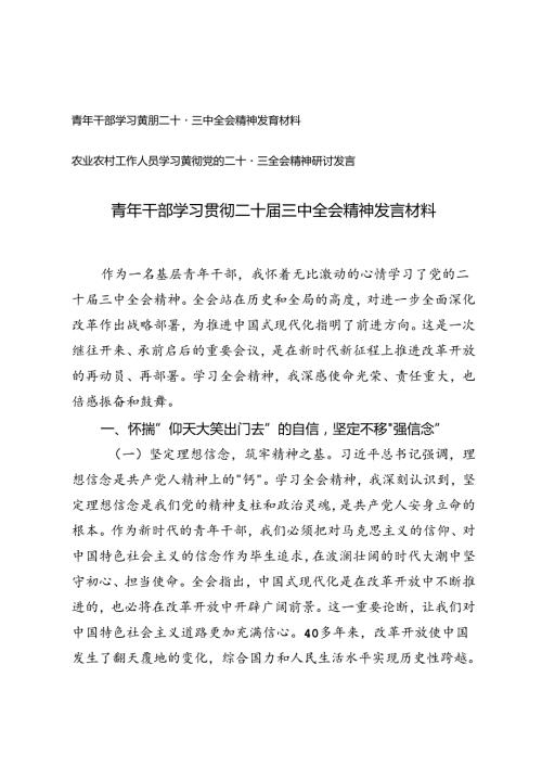 青年干部、农业农村工作人员学习贯彻二十三中全会精神发言材料.docx