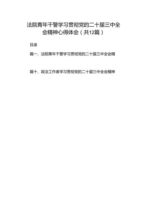 法院青年干警学习贯彻党的二十三中全会精神心得体会范文12篇（最新版）.docx
