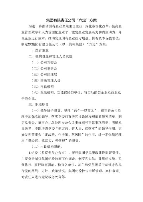 集团有限责任公司“六定”方案.docx
