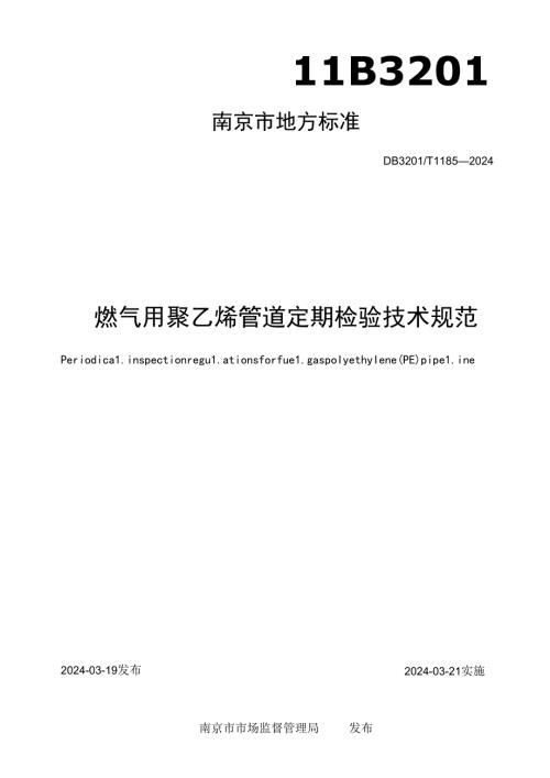 燃气用聚乙烯管道定期检验技术规范.docx