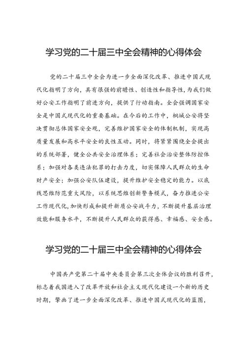 党员干部学习贯彻党的二十三中全会精神心得感悟四十四篇.docx