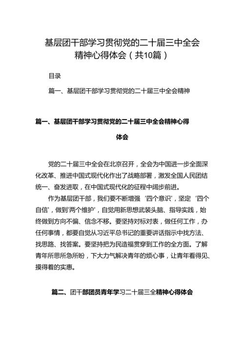 基层团干部学习贯彻党的二十三中全会精神心得体会【10篇】.docx