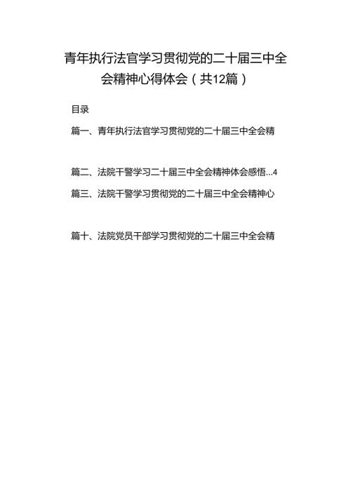 青年执行法官学习贯彻党的二十三中全会精神心得体会12篇（详细版）.docx