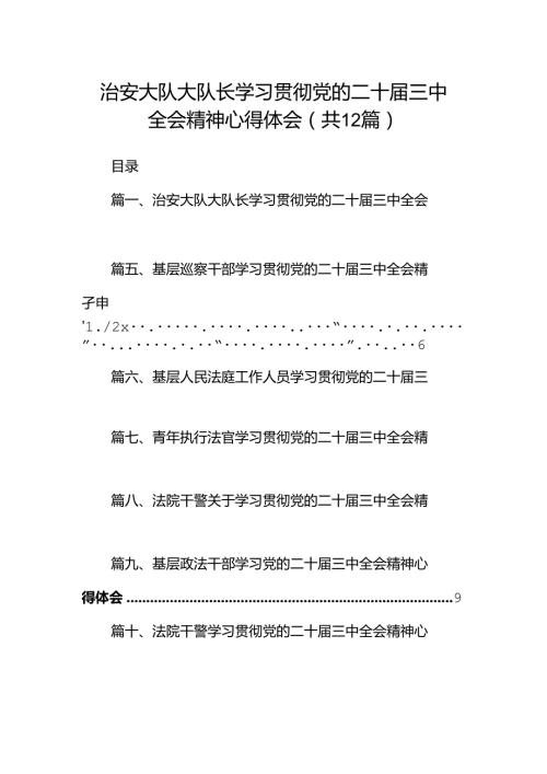 治安大队大队长学习贯彻党的二十三中全会精神心得体会12篇（精选）.docx
