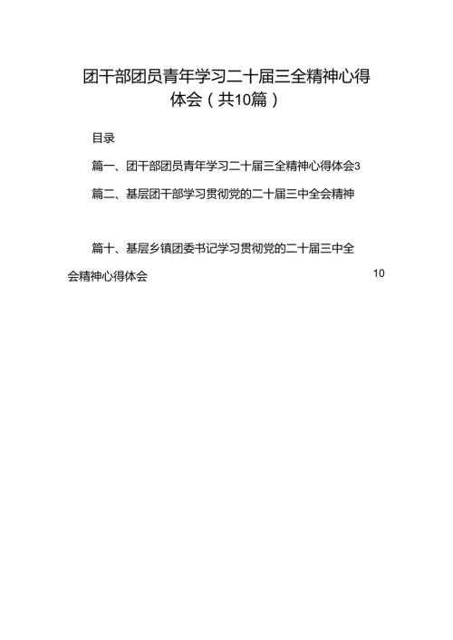 团干部团员青年学习二十三全精神心得体会10篇专题资料.docx