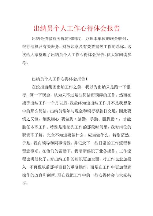 出纳员个人工作心得体会报告.docx