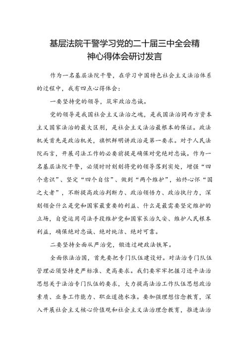 基层法院干警学习党的二十三中全会精神心得体会研讨发言.docx
