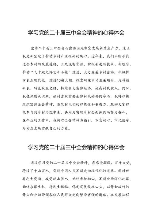 学习领会党的二十三中全会精神心得体会汇编三十篇.docx