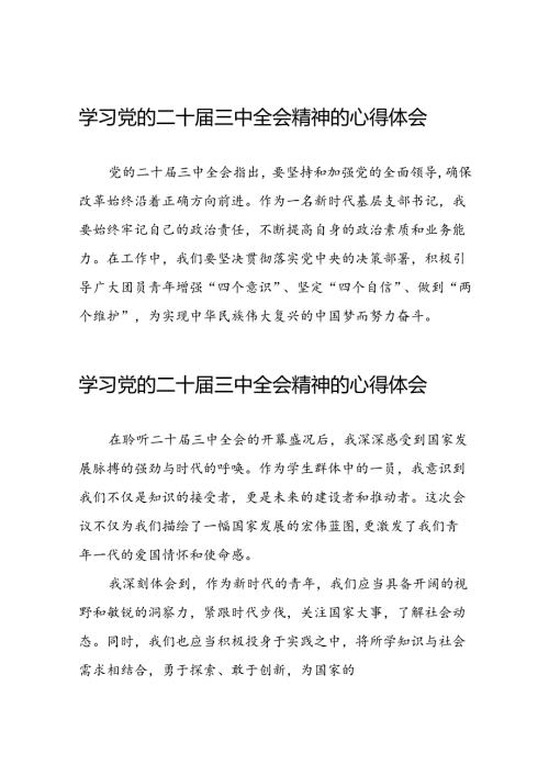 学习2024年党的二十三中全会精神的心得体会精品范文25篇.docx