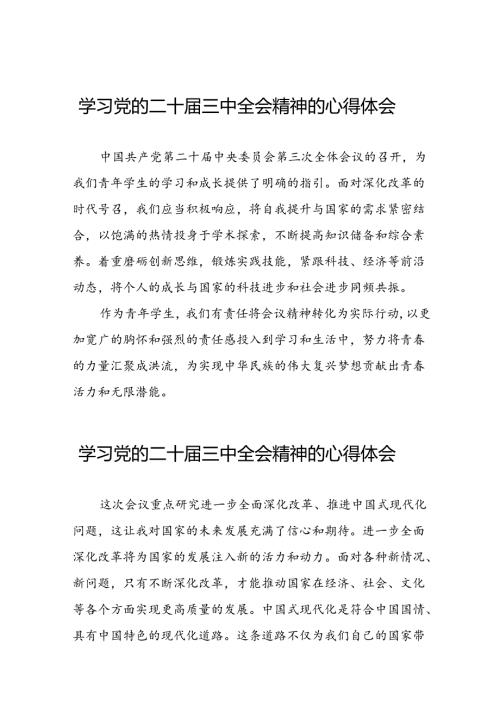 学习二十三中全会精神的心得体会简要发言稿三十六篇.docx