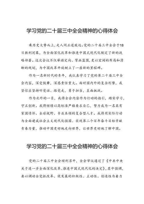 学习二十三中全会心得体会交流发言25篇.docx