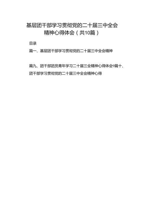 基层团干部学习贯彻党的二十三中全会精神心得体会（共10篇）.docx