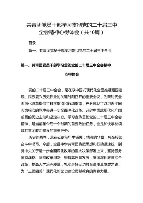 共青团党员干部学习贯彻党的二十三中全会精神心得体会（共10篇）.docx