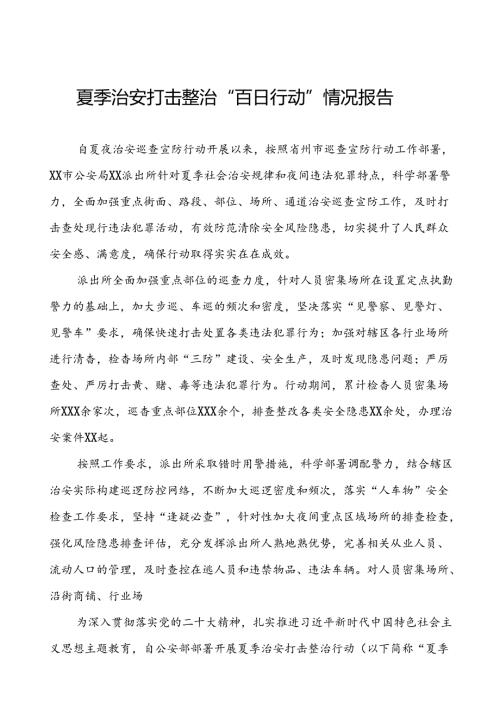 派出所2024公安夏季治安打击整治行动情况报告(十一篇).docx