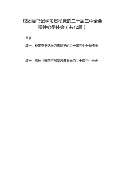校团委书记学习贯彻党的二十三中全会精神心得体会（共12篇）.docx