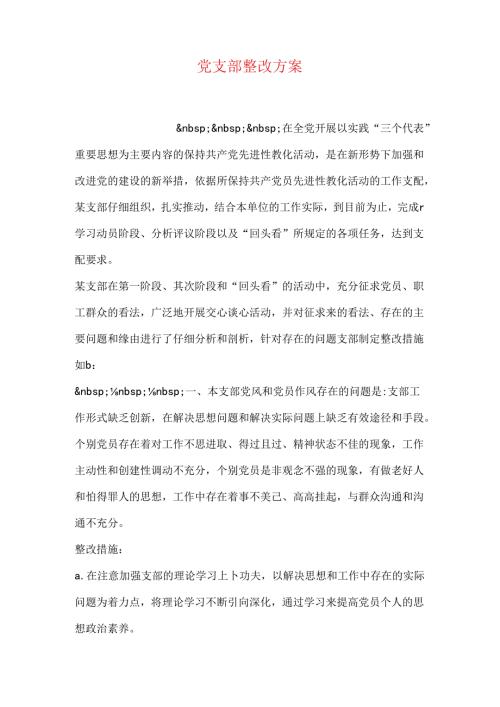 党支部整改方案.docx