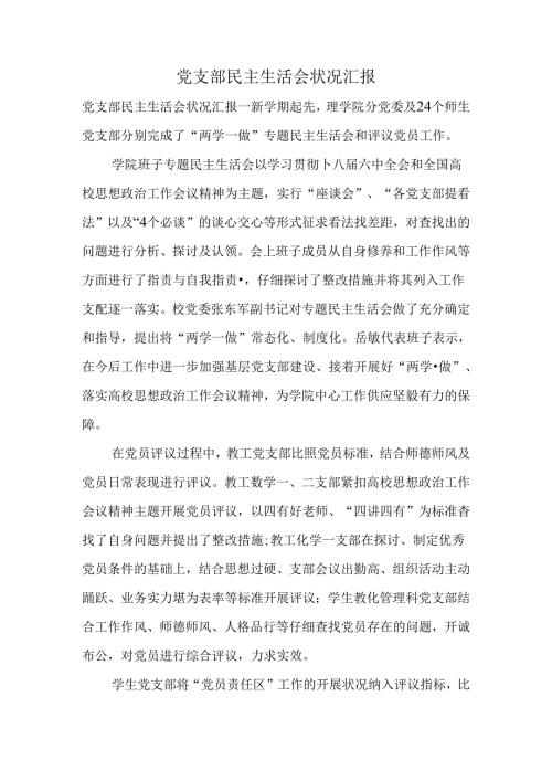党支部民主生活会情况汇报.docx