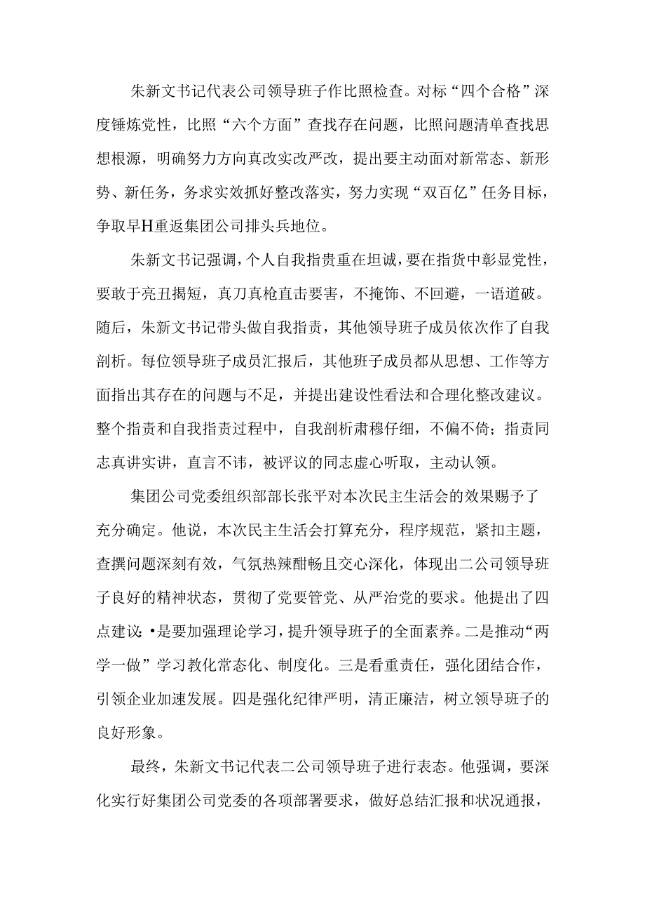 党支部民主生活会情况汇报.docx_第3页