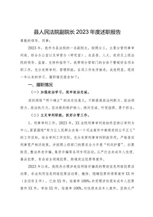 县人民法院副院长2023述职报告.docx