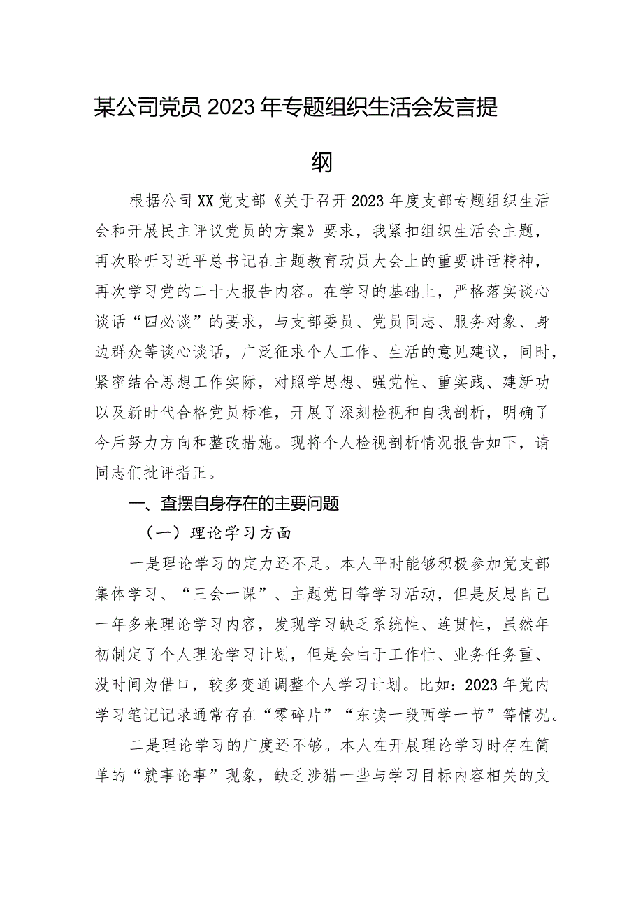 某公司党员2023年专题组织生活会发言提纲（理论学习等4个方面）.docx_第1页