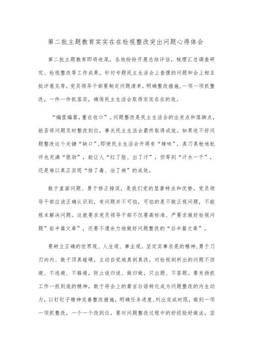 第二批主题教育实实在在检视整改突出问题心得体会.docx