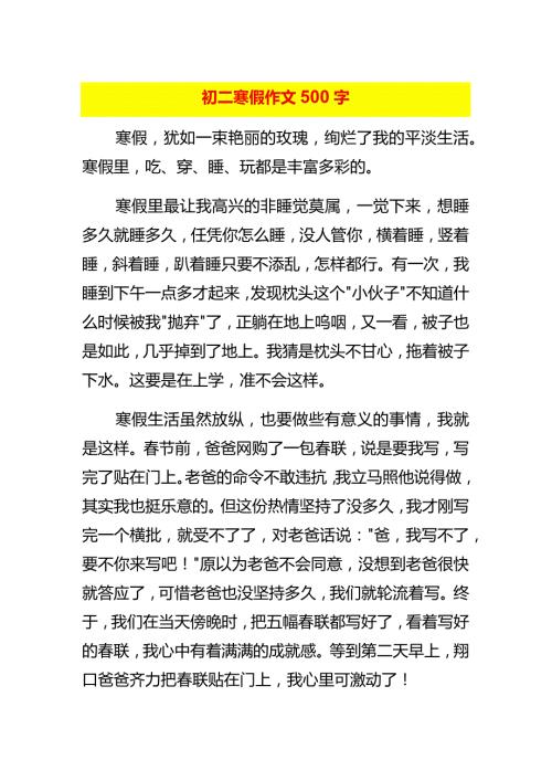 初二寒假作文500字.docx