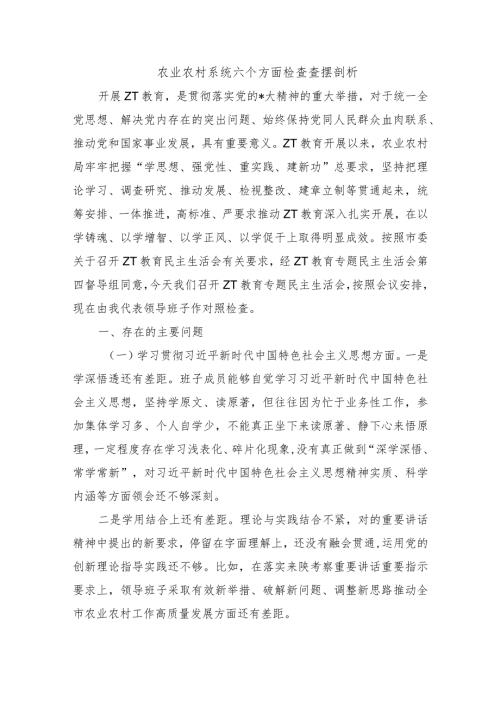 农业农村系统六个方面检查查摆剖析.docx