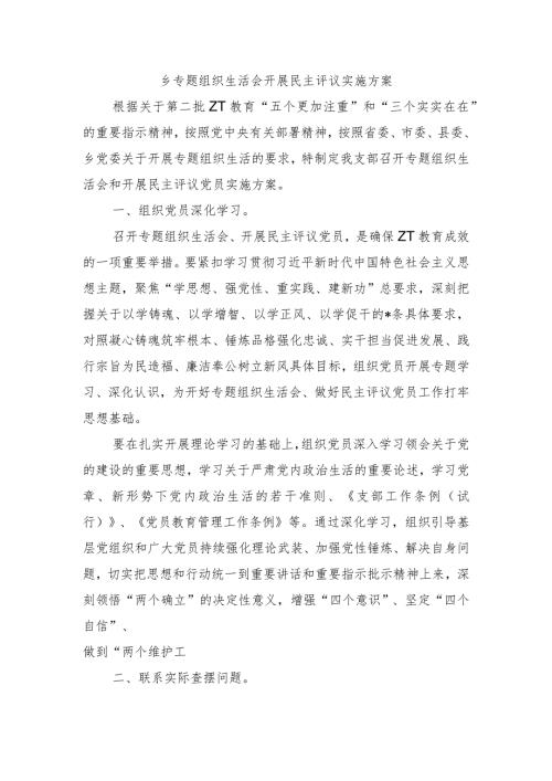 乡专题组织生活会开展民主评议实施方案.docx