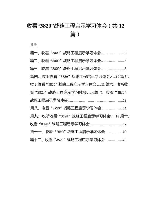 收看“3820”战略工程启示学习体会12篇供参考.docx