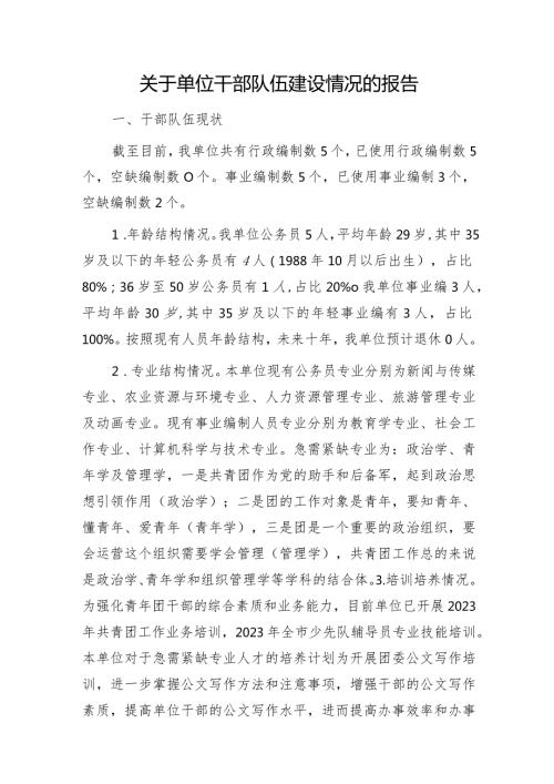 干部队伍建设情况报告.docx