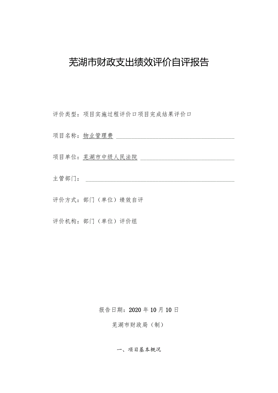 芜湖市财政支出绩效评价自评报告.docx_第1页