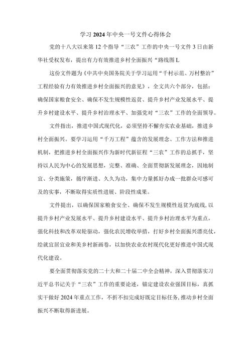 学习2024年中央一号文件心得体会一.docx