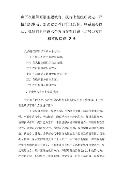 班子在组织开展主题教育、执行上级组织决定、严格组织生活、加强党员教育管理监督、联系服务群众、抓好自身建设六个方面存在问题下步努力.docx