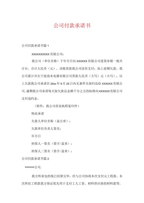 公司付款承诺书十篇.docx