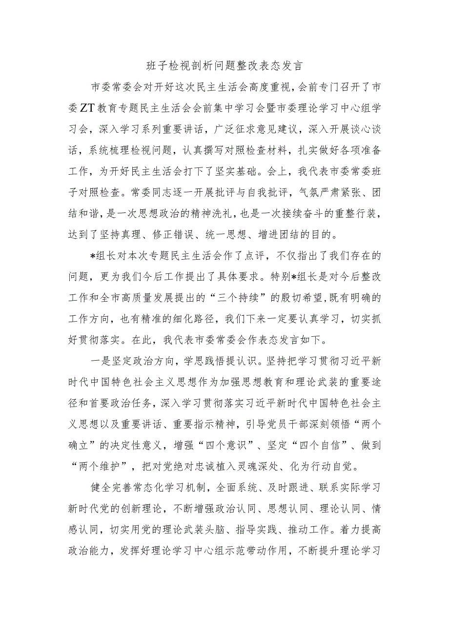 班子检视剖析问题整改表态发言.docx_第1页