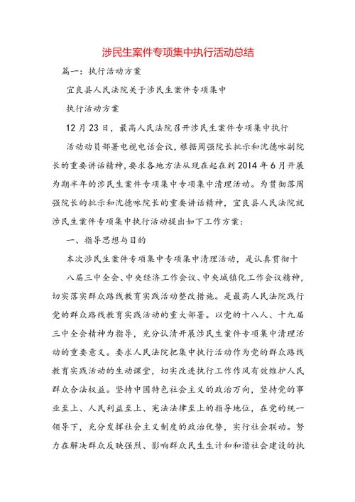 涉民生案件专项集中执行活动总结范文.docx